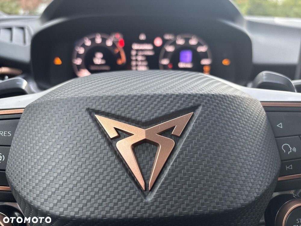 Cupra Terramar - 21