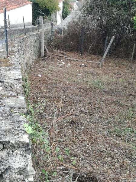 Terreno Rústico em área urbana - Grande imagem: 2/12