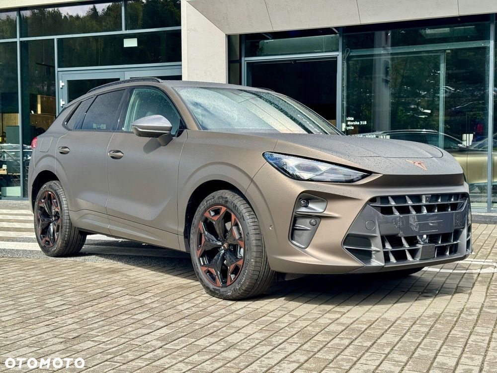 Cupra Terramar - 4
