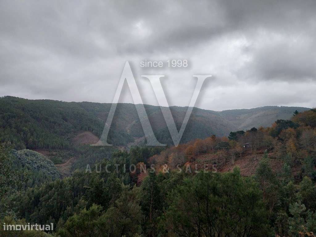 Terreno rústico - Vale Covo, Área de Gondramaz - VILA NOVA - MIRAND... - Grande imagem: 5/5