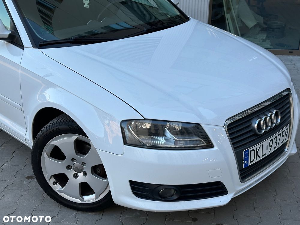 Audi A3 3-drzwiowe 1.6 TDI DPF Ambition - 12