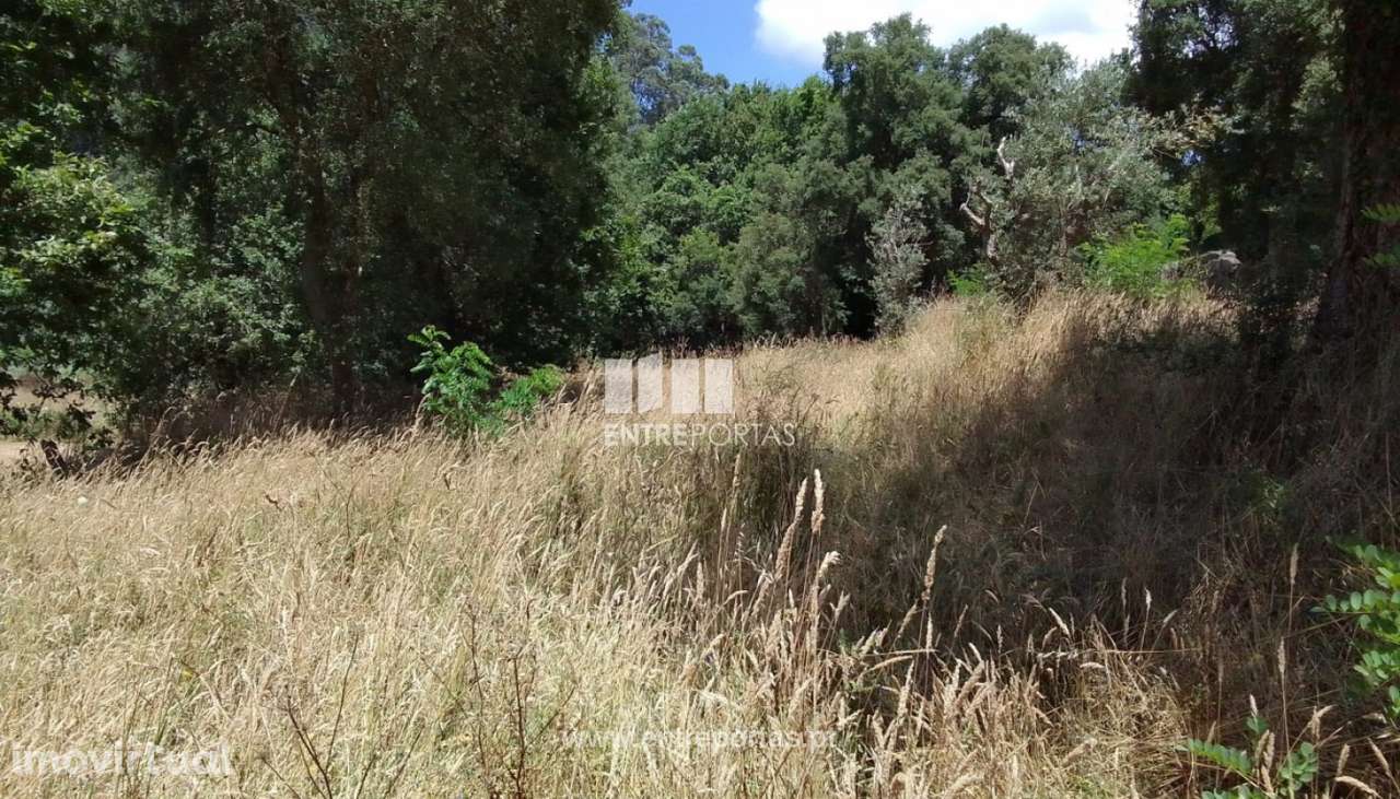 Venda de Terreno de construção, Vilar Mouros, Caminha - Grande imagem: 2/30
