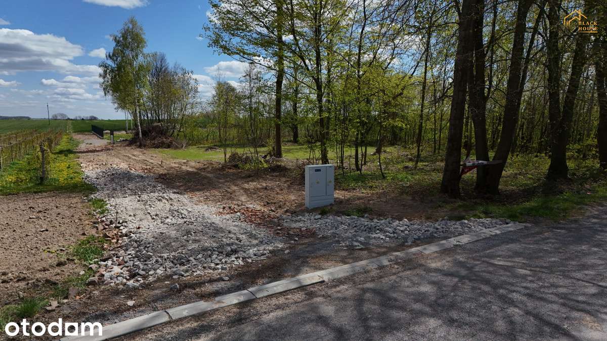Działka budowlana z potencjałem- Kolonia Wola Duża - Pełny obrazek: 5/10