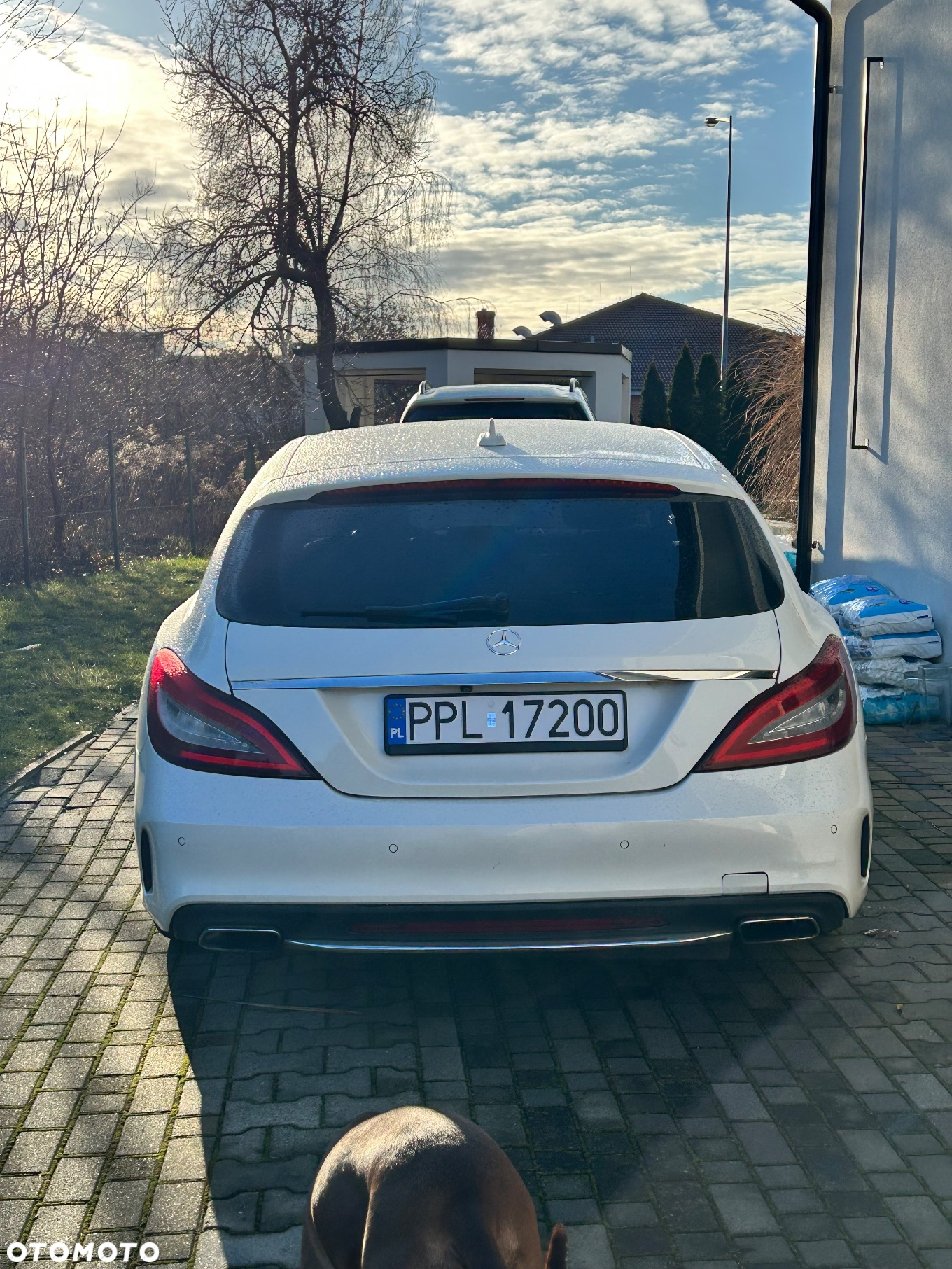 Mercedes-Benz CLS 350 BlueTEC 4-Matic - 30