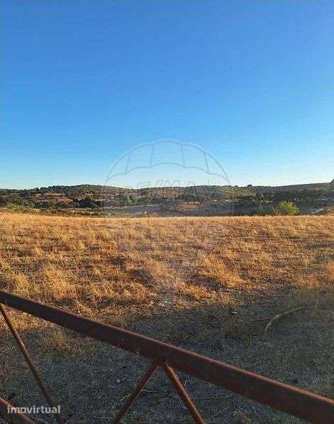 Vendo Terreno Rústico no Alentejo ( Serpa - Beja) - Grande imagem: 2/12