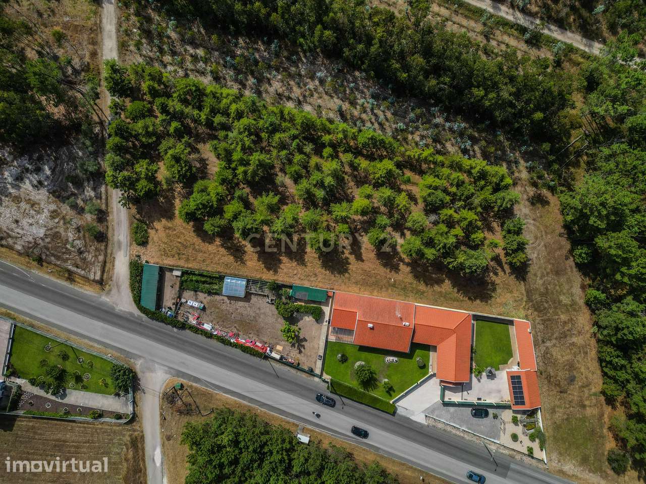 Terreno com cerca de 3.300 m² em zona de pinhal, em Casal Novo, Quiaio - Grande imagem: 2/12