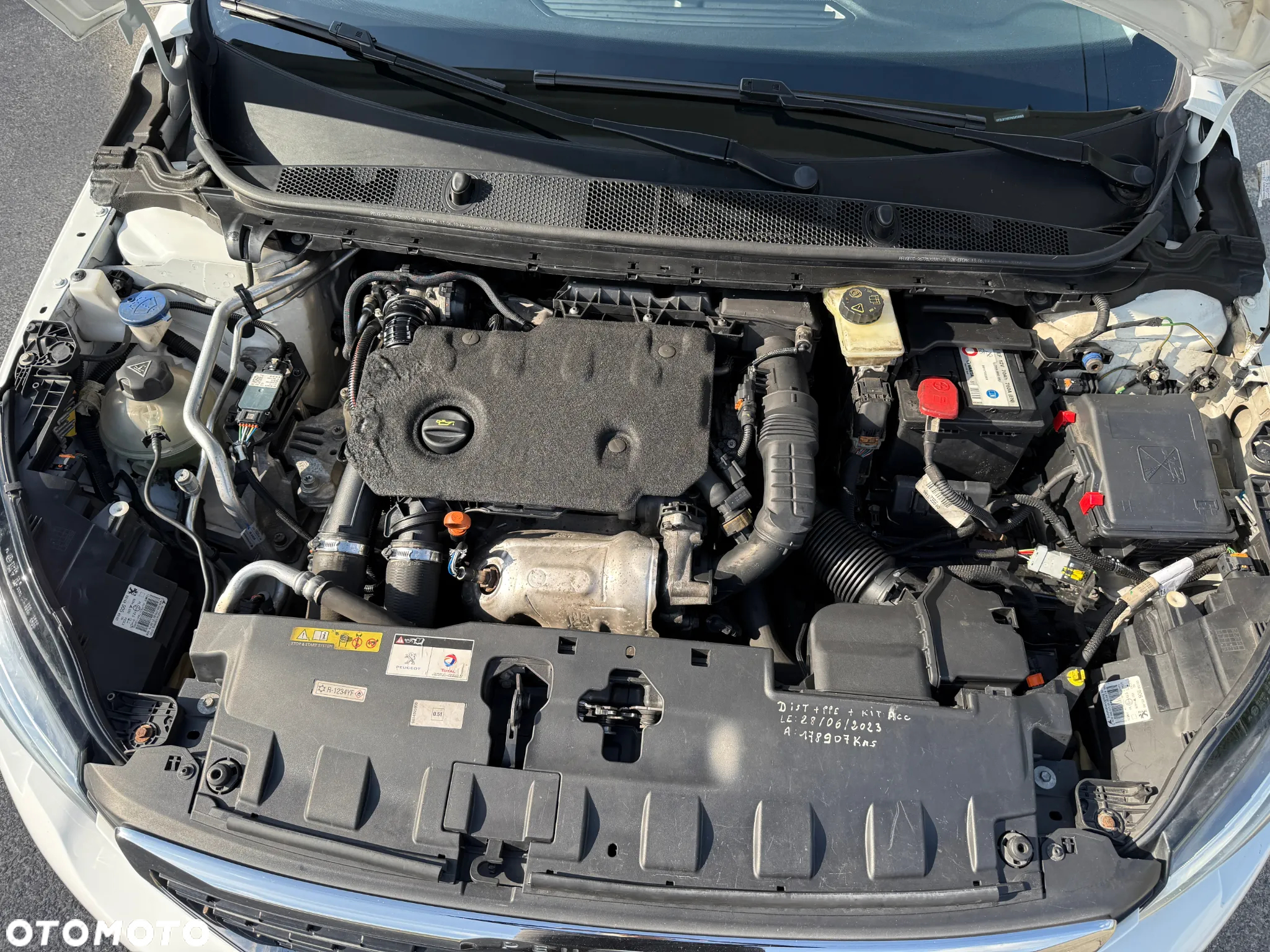 Peugeot 308 1.5 BlueHDi Business Line S&S - 24