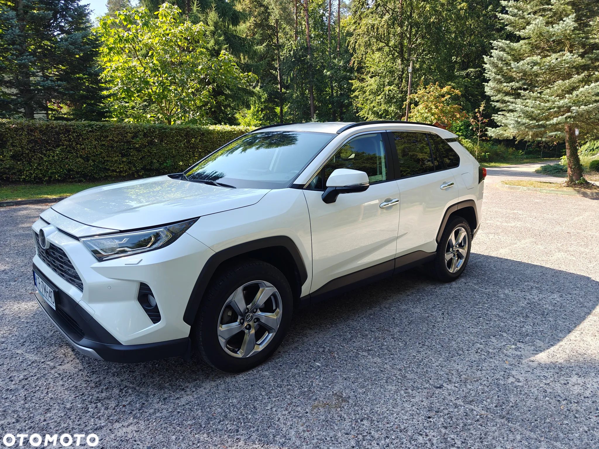 Toyota RAV4 2.0 Executive 4x4 - 1