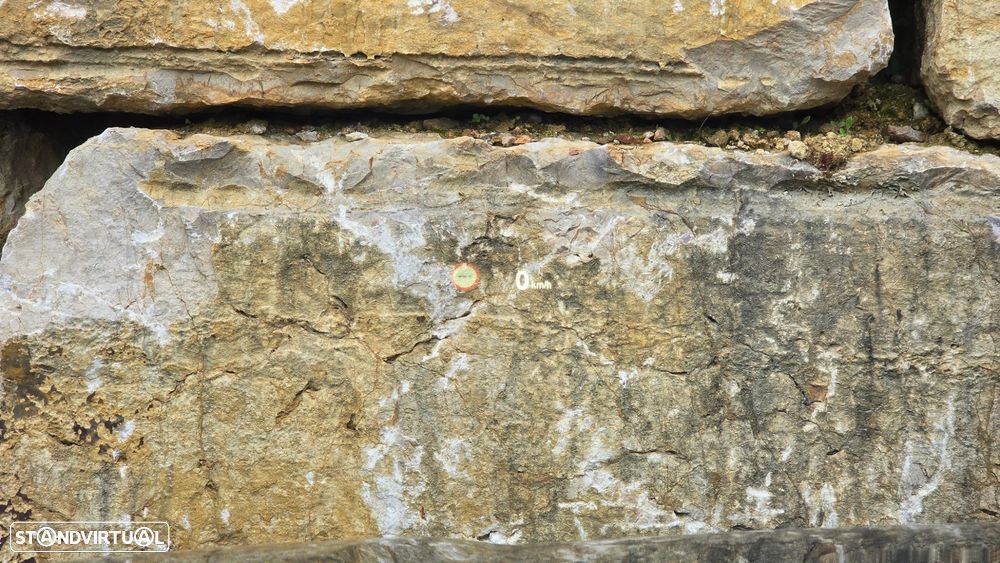 BMW X2 18 d sDrive Auto Advantage - 13