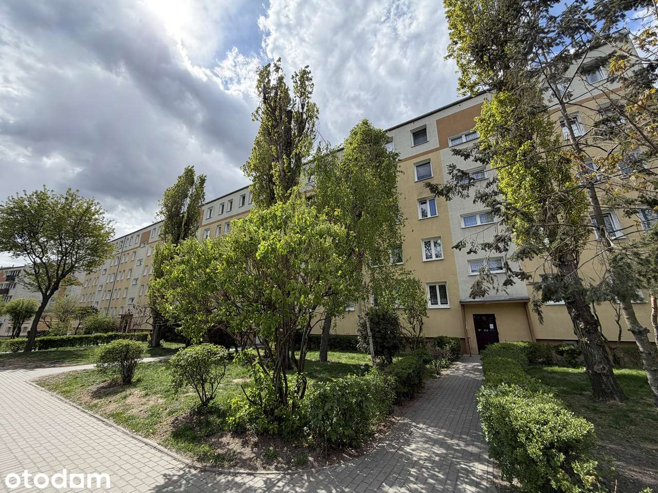 3 pokojowe mieszkanie na parterze
