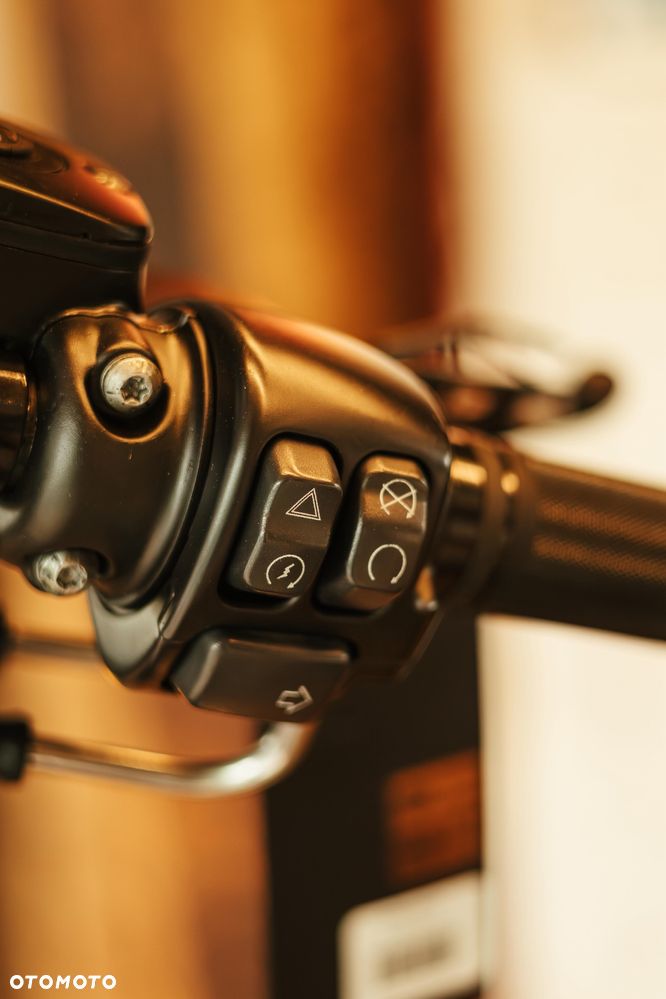 Harley-Davidson Softail Blackline - 22