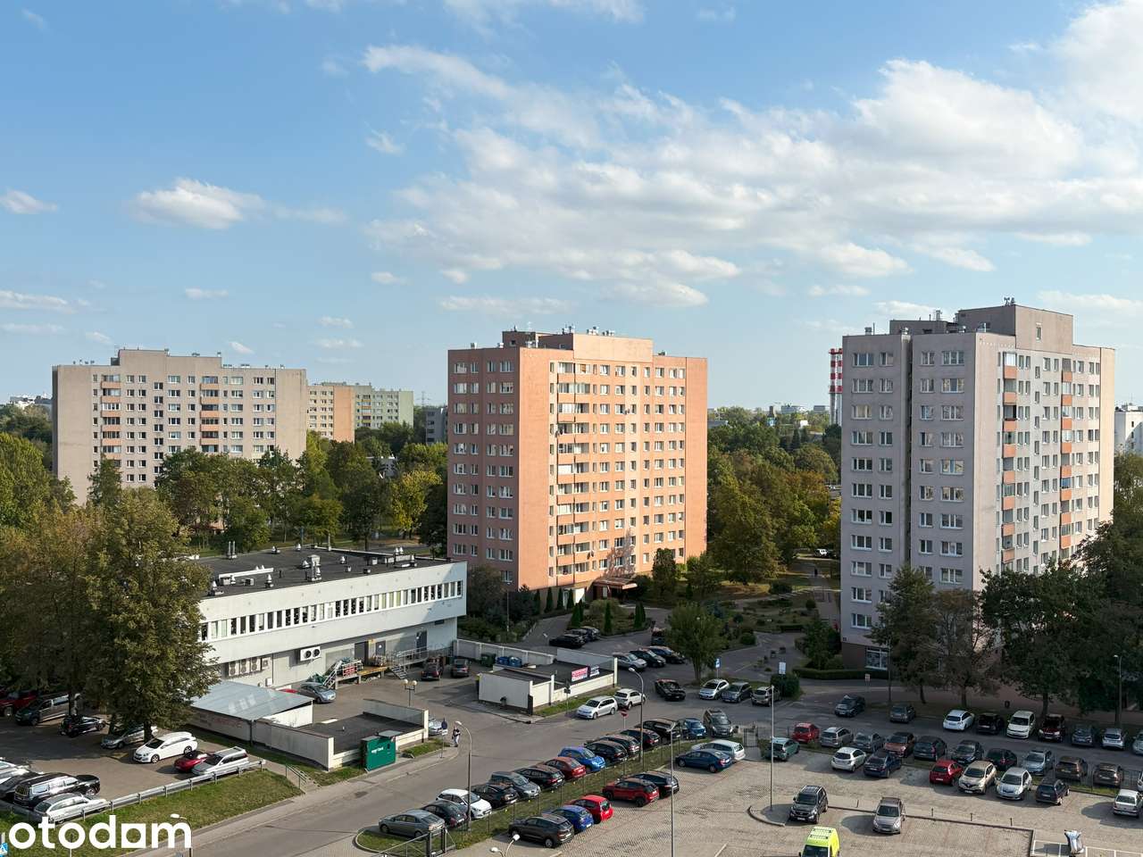 ***JELONKI***idealne dla singla lub pary***SUPER KOMUNIKACJA***zadbane