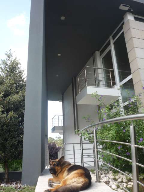 Moradia T4 Exclusiva  com 595 m² em terreno 1.200 m² Castêlo da Maia - Grande imagem: 3/13