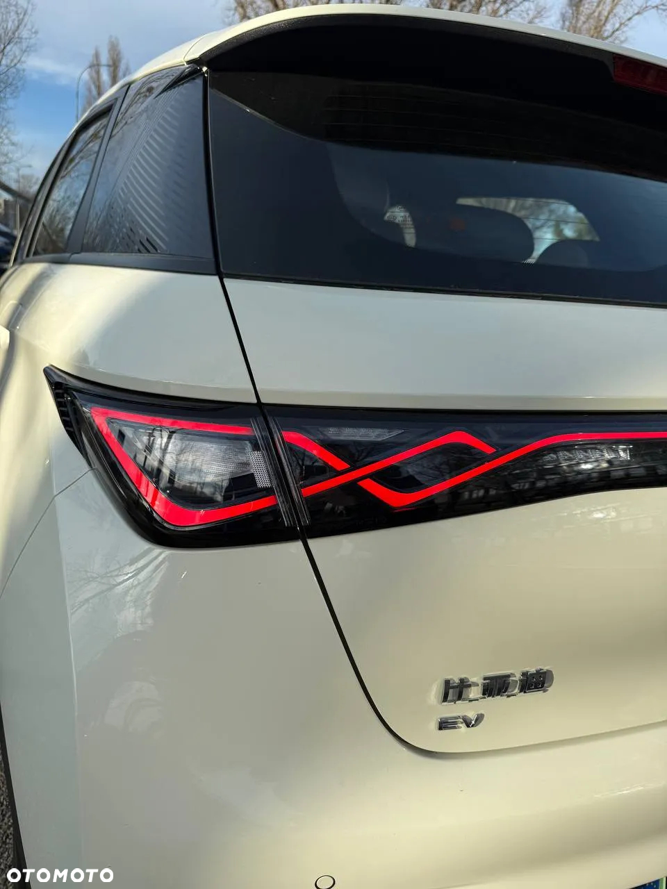 BYD Dolphin Active - 10