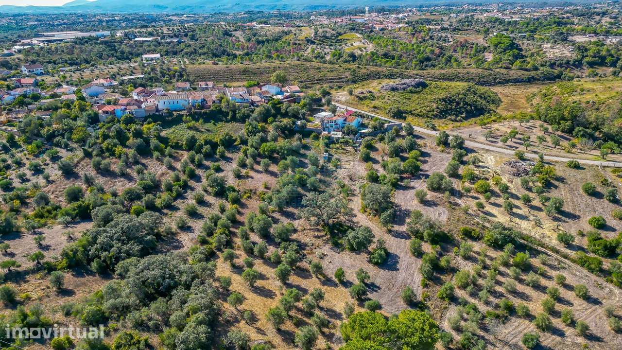 Terreno com 2.840 m² em Assentiz - Torres Novas - Grande imagem: 5/14