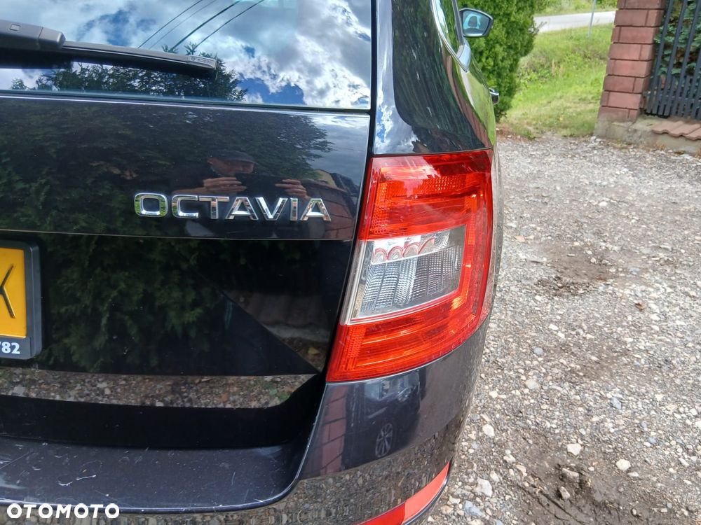 Skoda Octavia 1.6 TDI Classic - 15