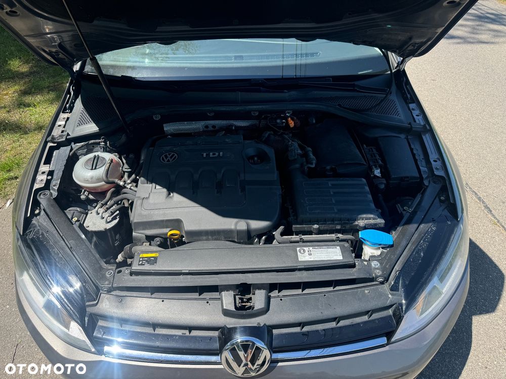 Volkswagen Golf 1.6 TDI DPF BlueMotion - 22