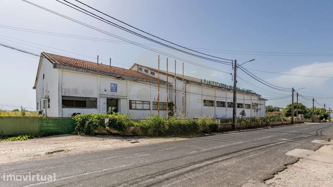 Armazém com terreno de mais de 7.000 m² em Alcanhões, Santarém - Grande imagem: 4/35