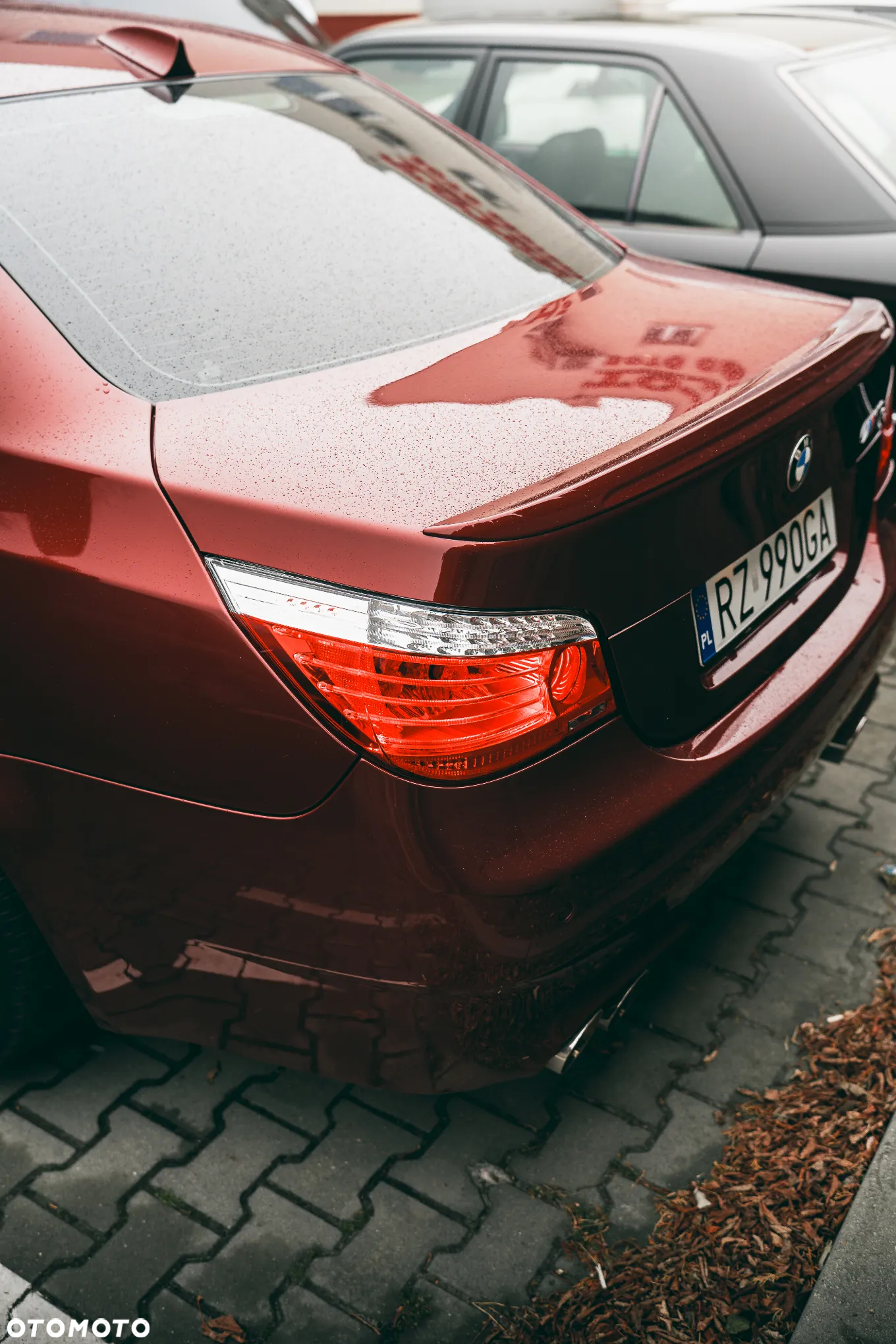 BMW M5 Standard - 8