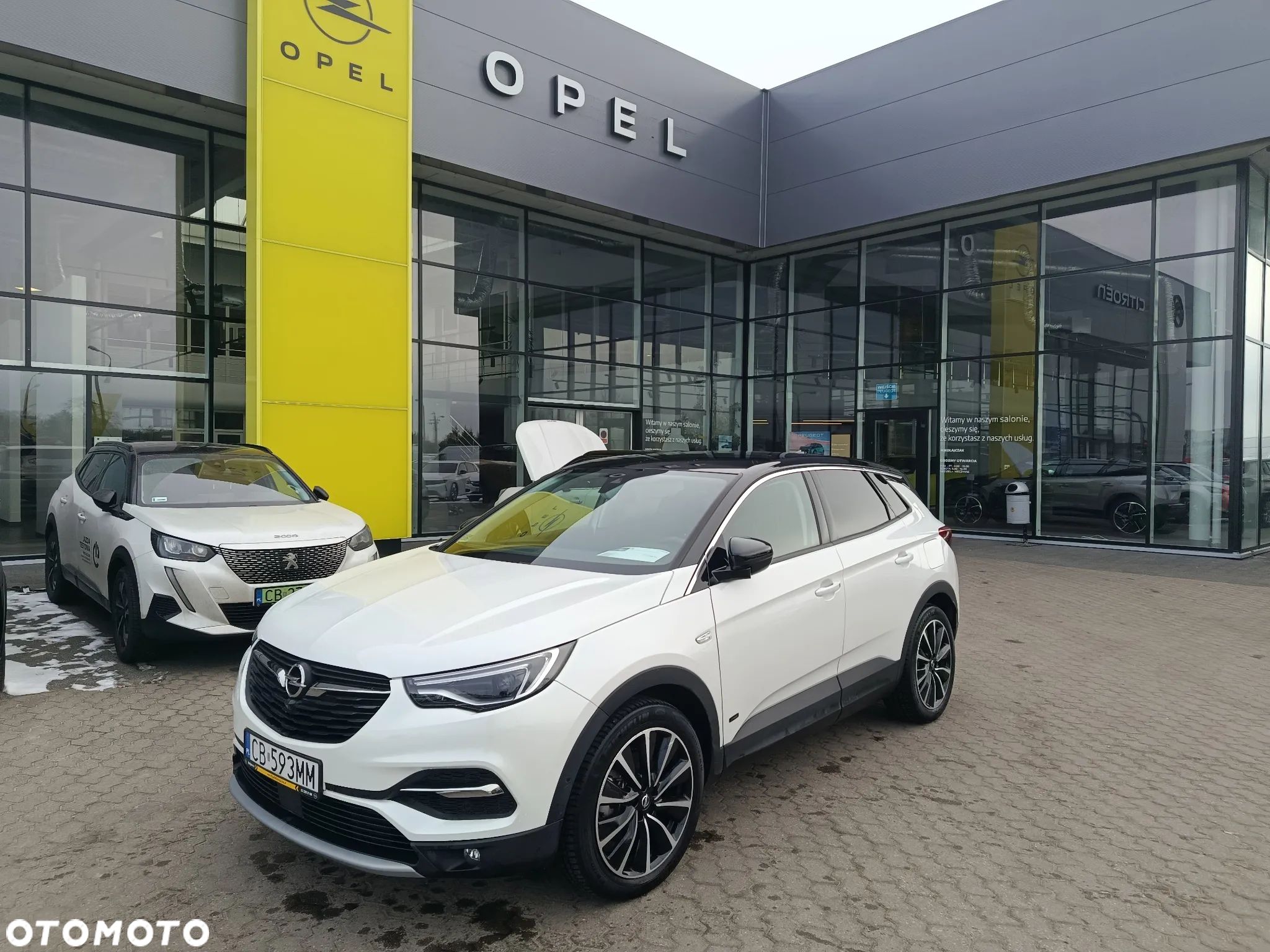 Opel Grandland X - 1