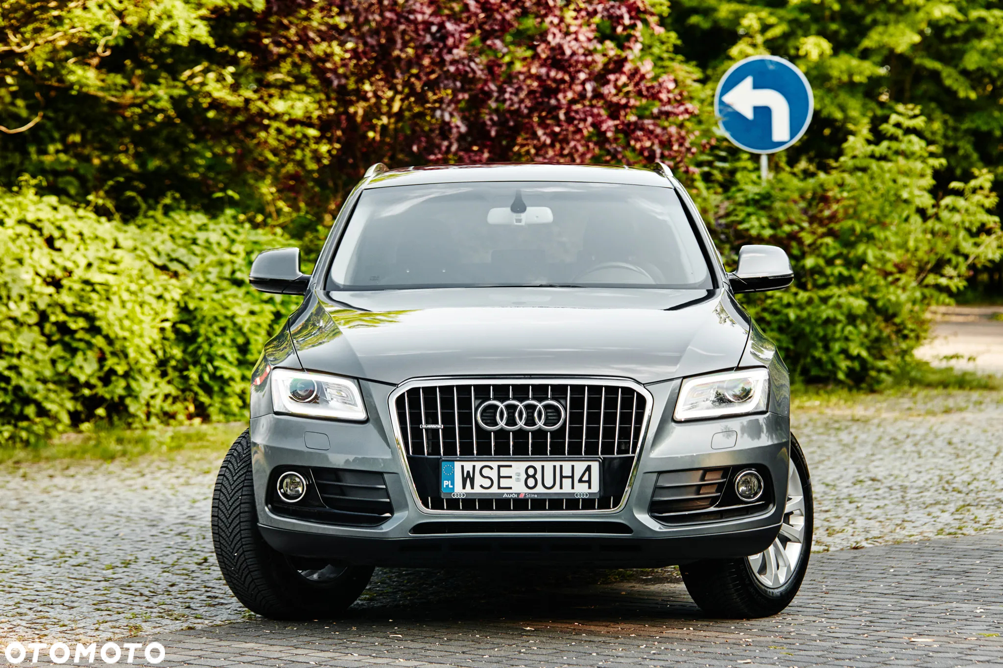 Audi Q5 2.0 TDI clean diesel Quattro S tronic - 6