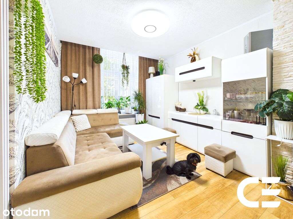 Mieszkanie w centrum | 41 m²-51 m²| Wysoki parter