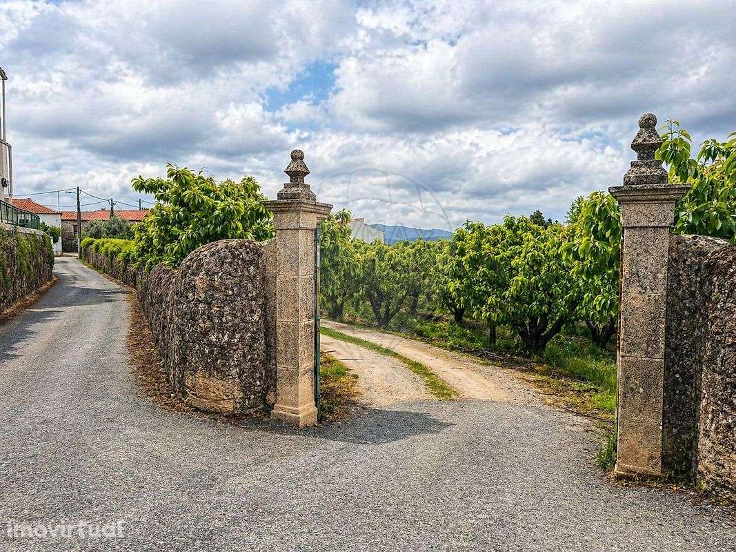 Quinta T7 para venda - Grande imagem: 3/49