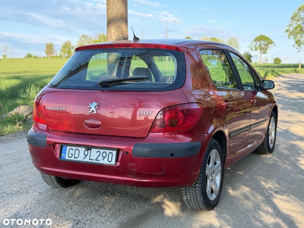 Peugeot 307 2.0 XS Class - 3