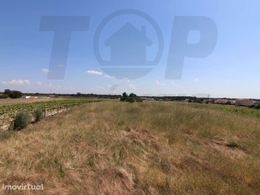 Terreno com equipamento agrícola - 34250m2 - 550.000€ - Grande imagem: 3/14