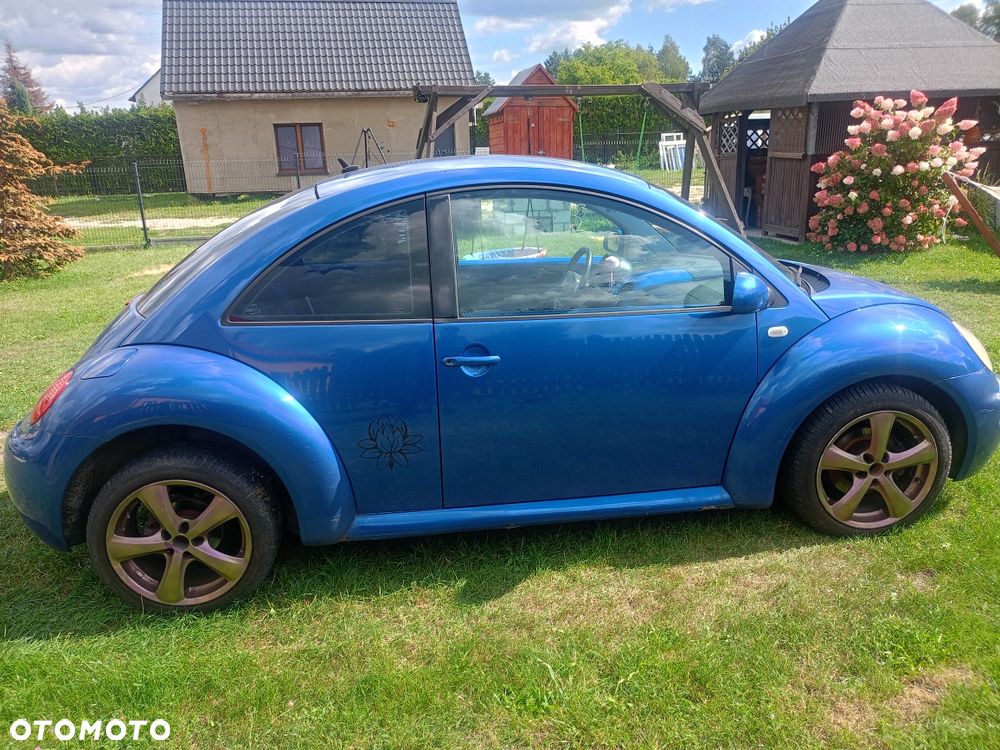 Volkswagen Beetle - 6