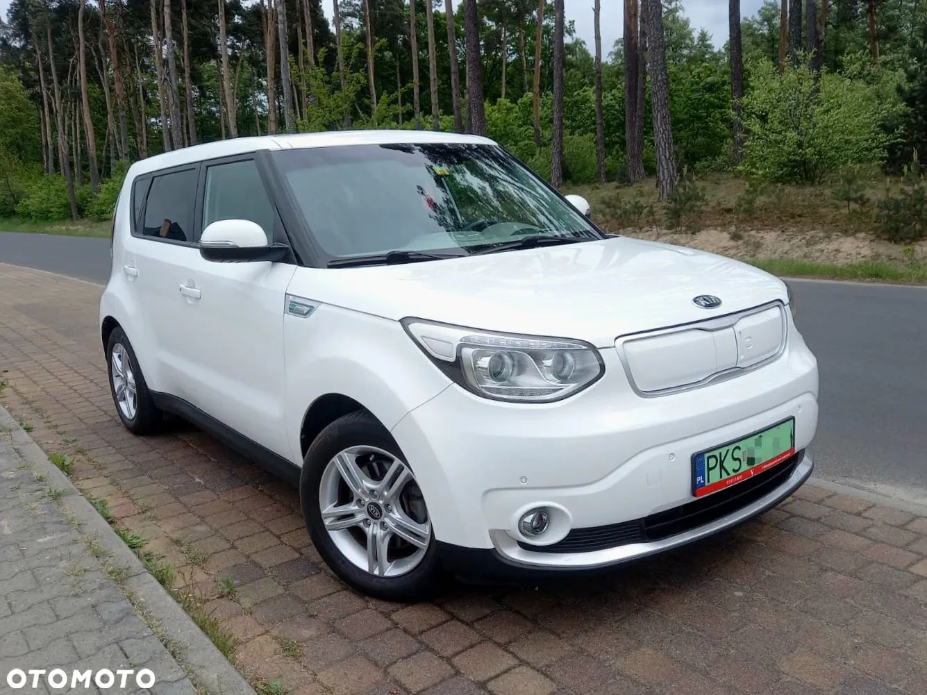 Kia Soul EV Plug - 1