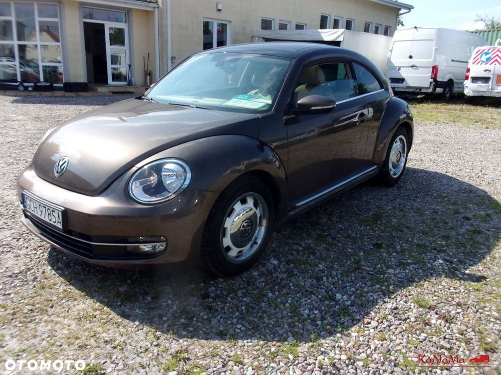 Volkswagen Beetle - 6
