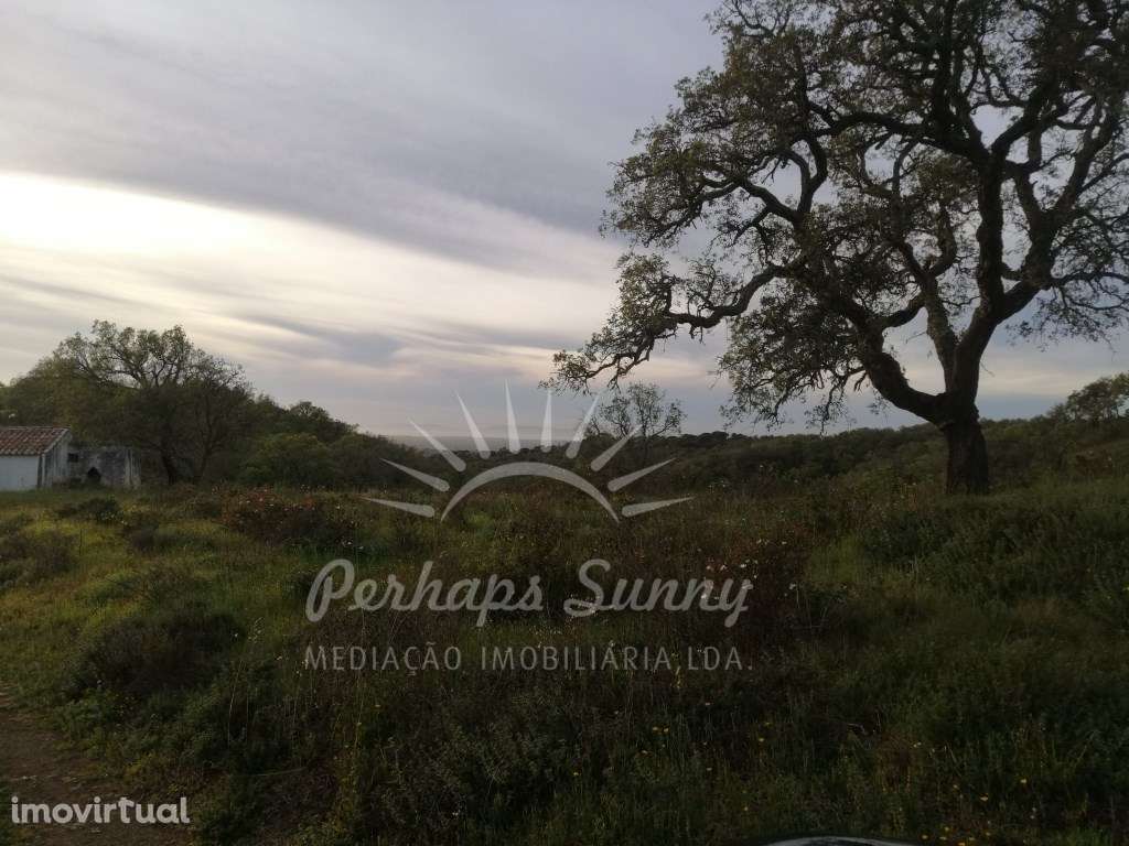 Terreno Misto Melides - Grande imagem: 5/23