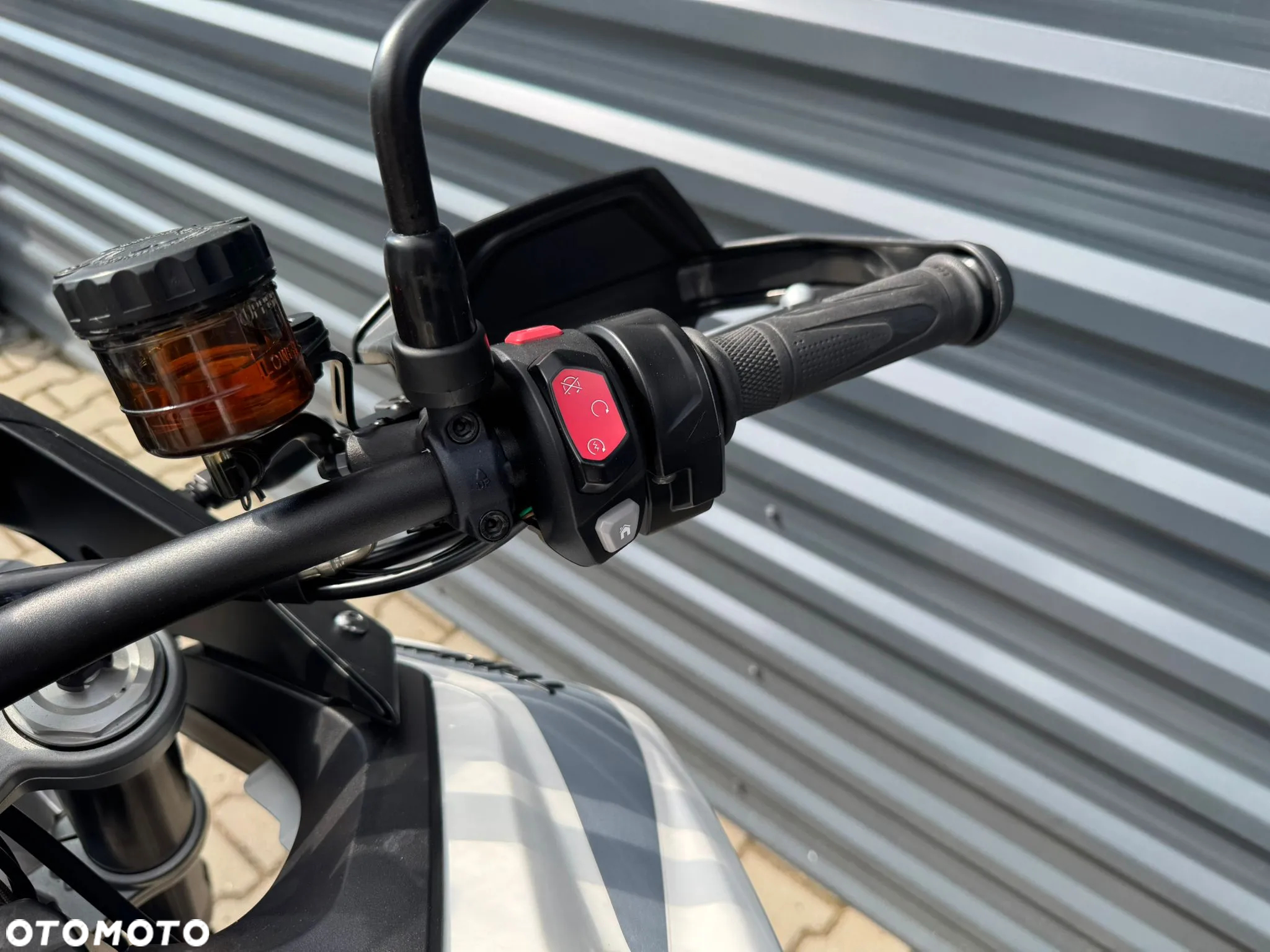 Triumph Tiger - 13