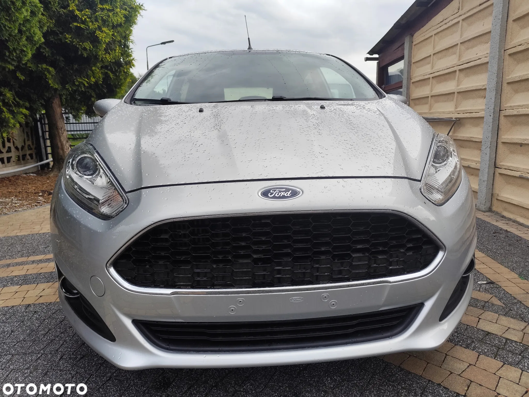 Ford Fiesta 1.0 EcoBoost Silver X EU6 - 21