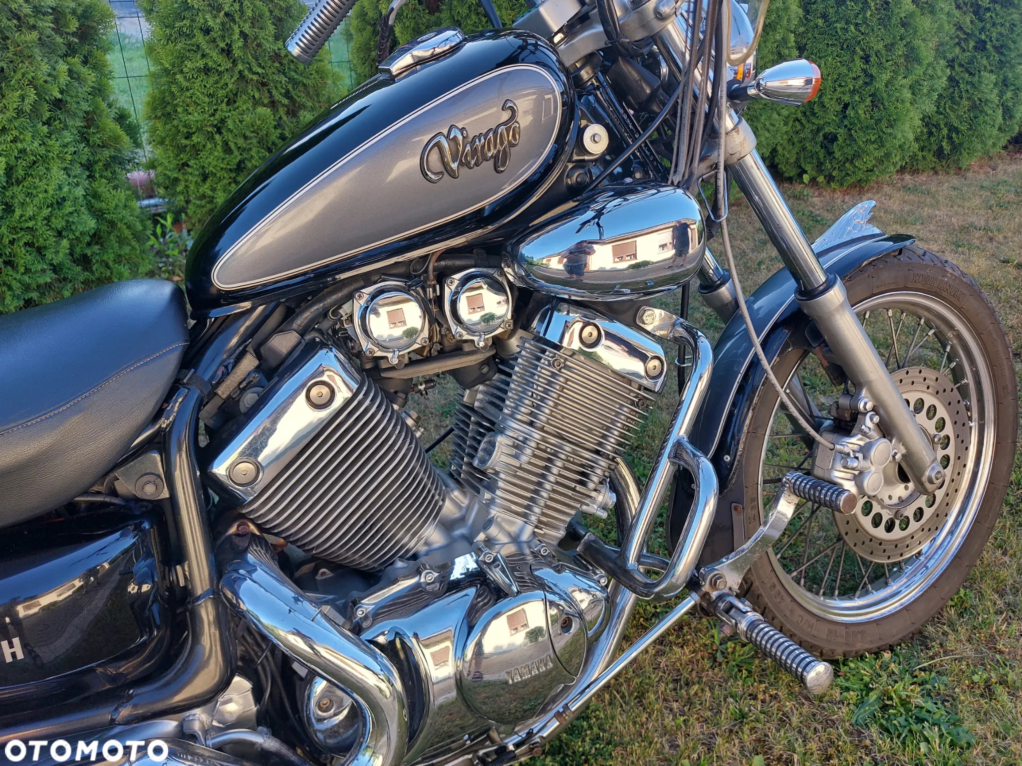 Yamaha Virago - 6