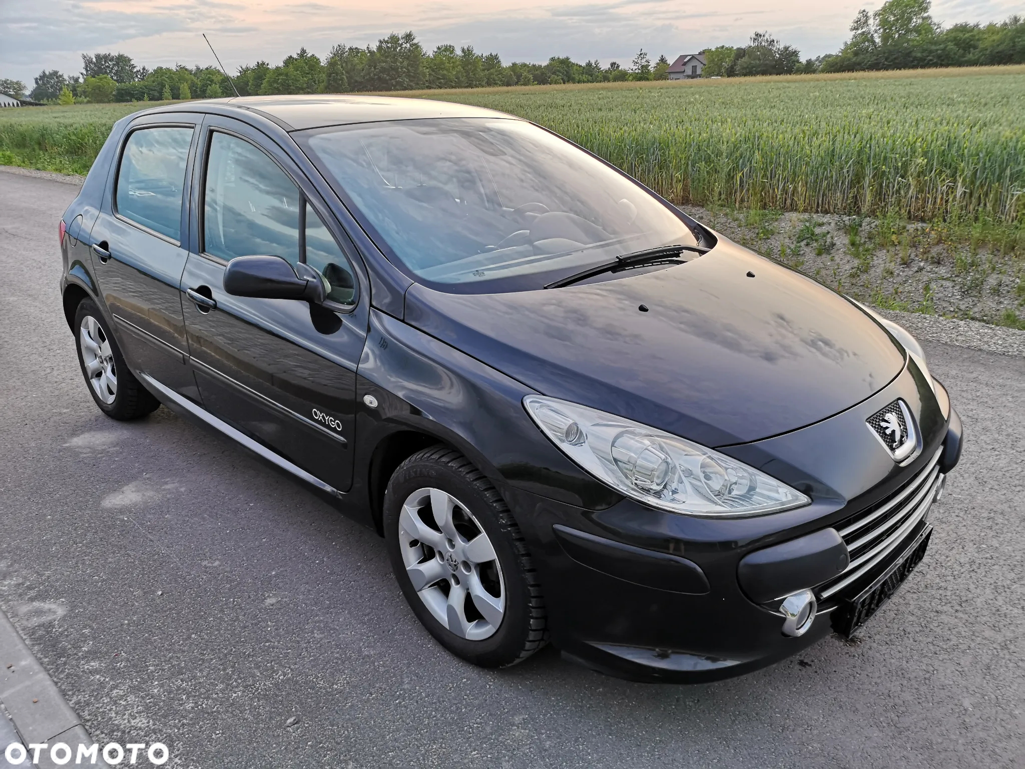 Peugeot 307 110 OXYGO - 15