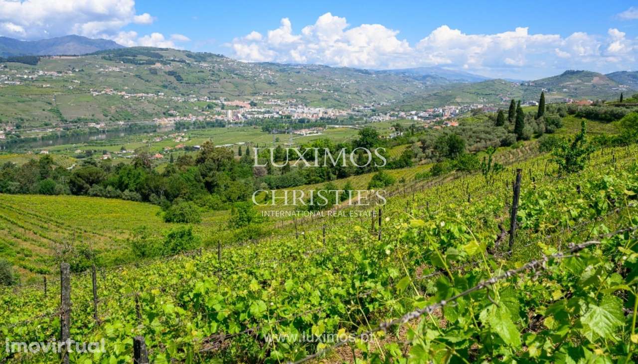 Quinta Vinícola à venda no Douro Valley em Cambres, Lamego, Portugal - Grande imagem: 4/35