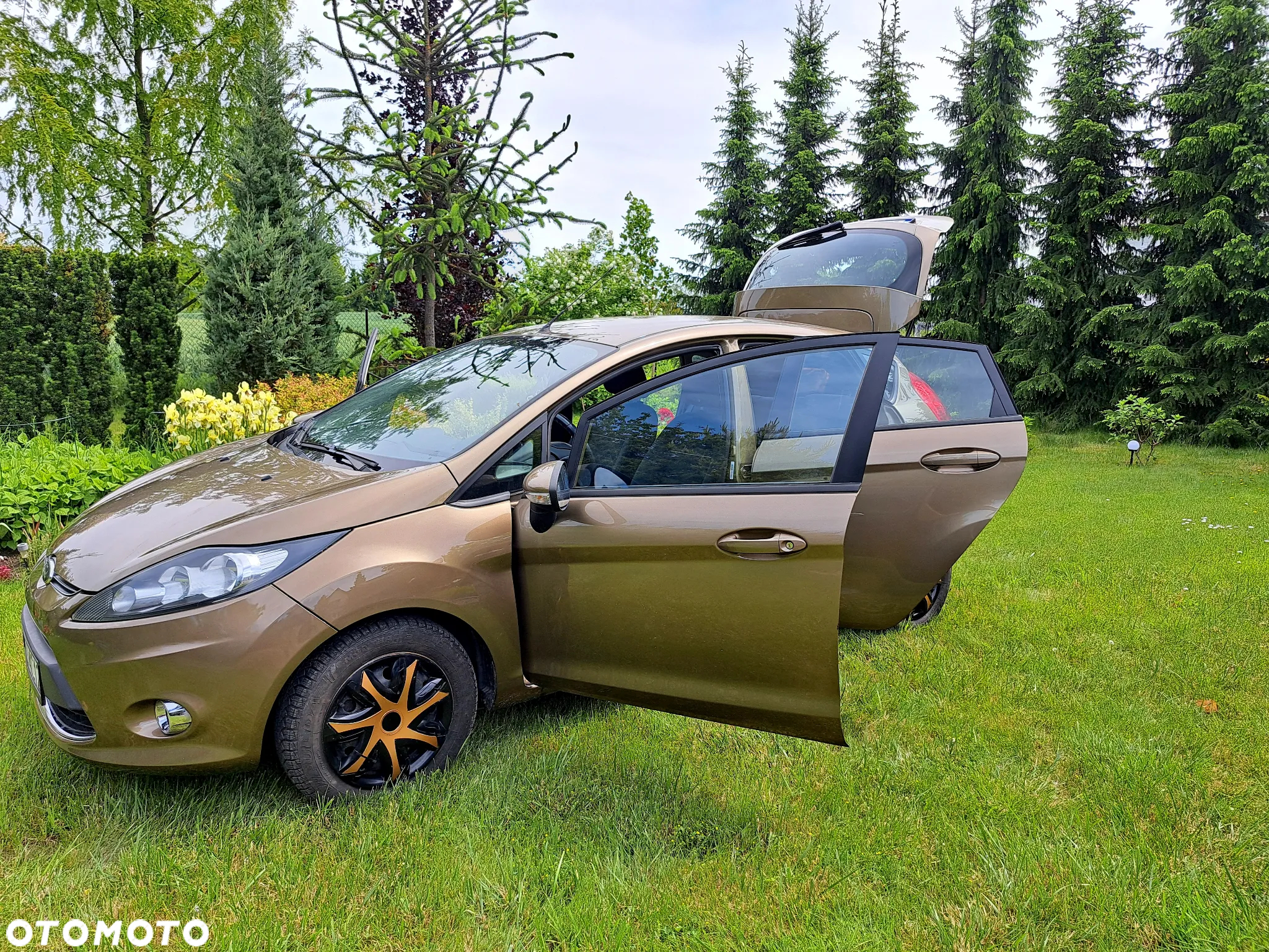 Ford Fiesta - 10