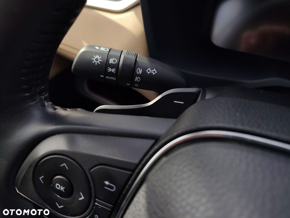 Toyota RAV4 2.5 Hybrid Executive 4x2 - 17