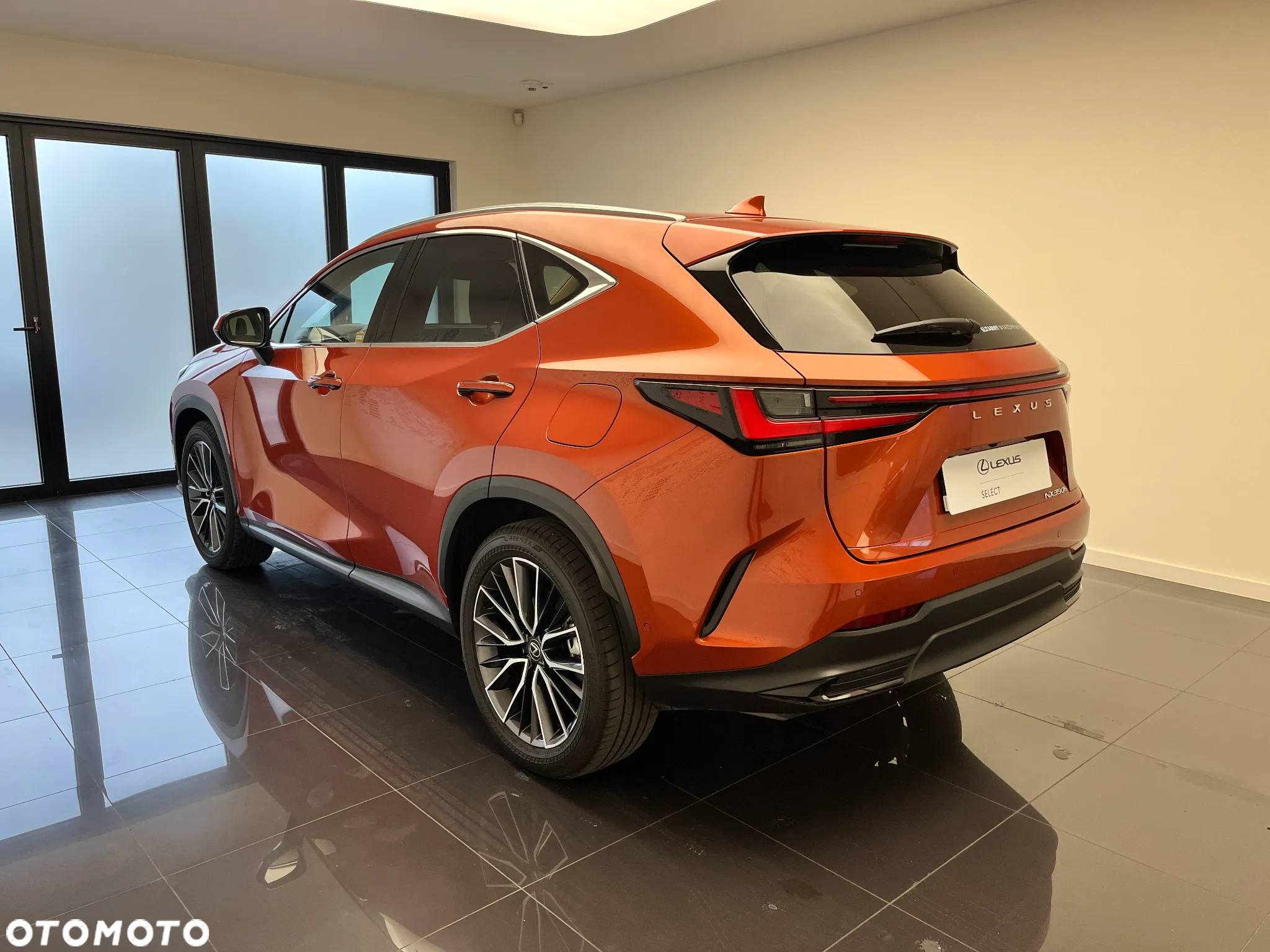 Lexus NX - 8