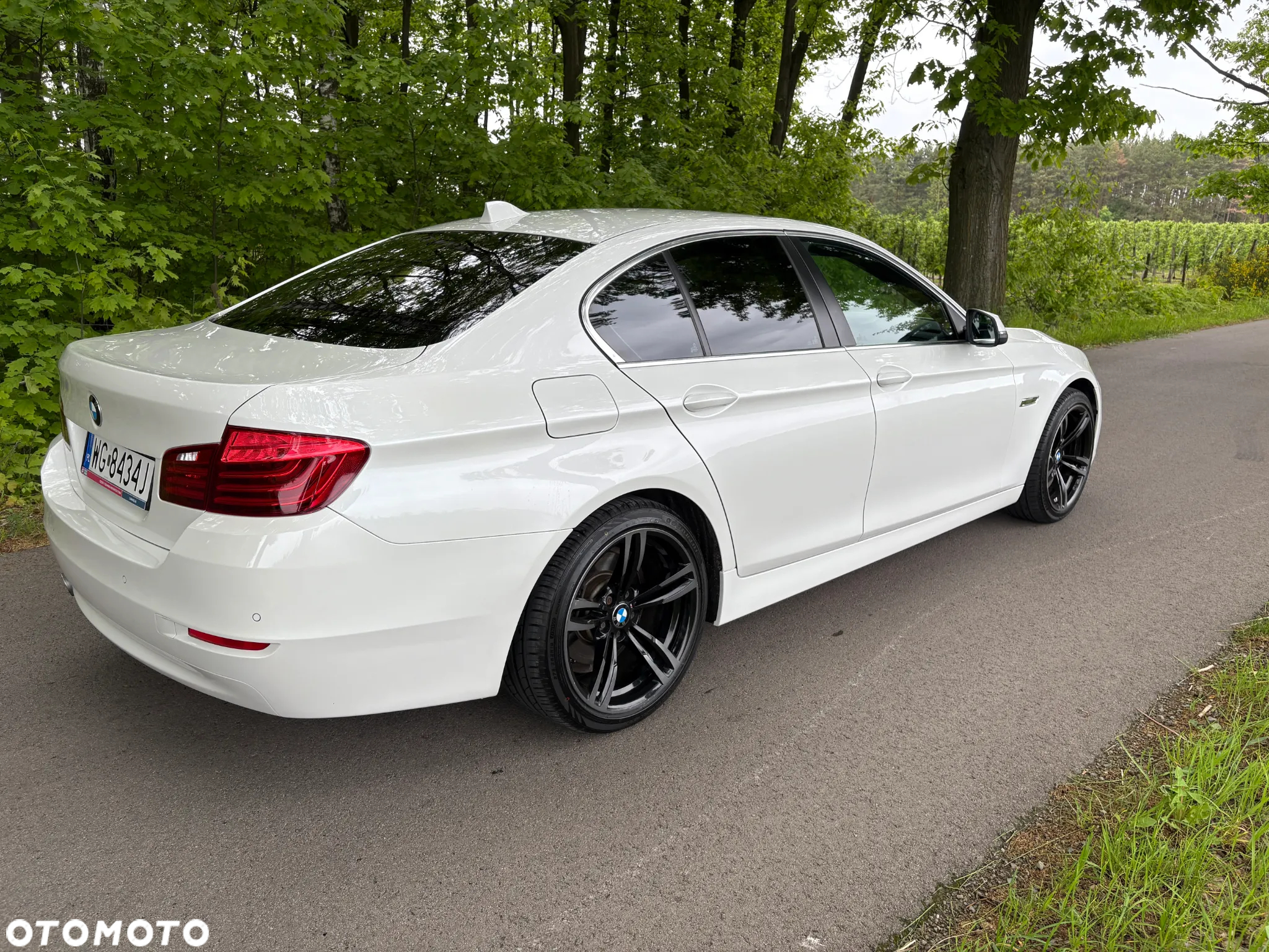 BMW Seria 5 520d - 30