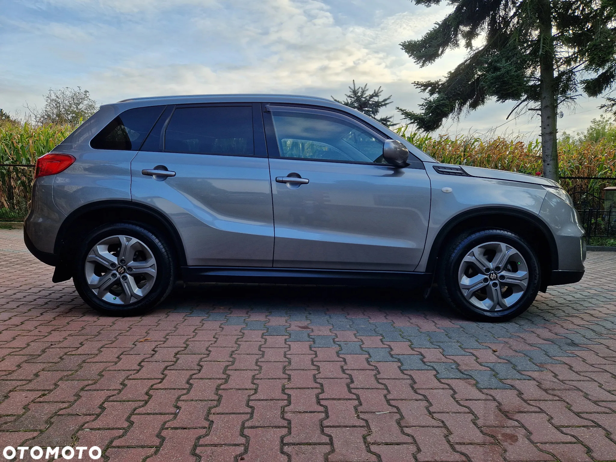 Suzuki Vitara 1.6 Premium 4WD - 10