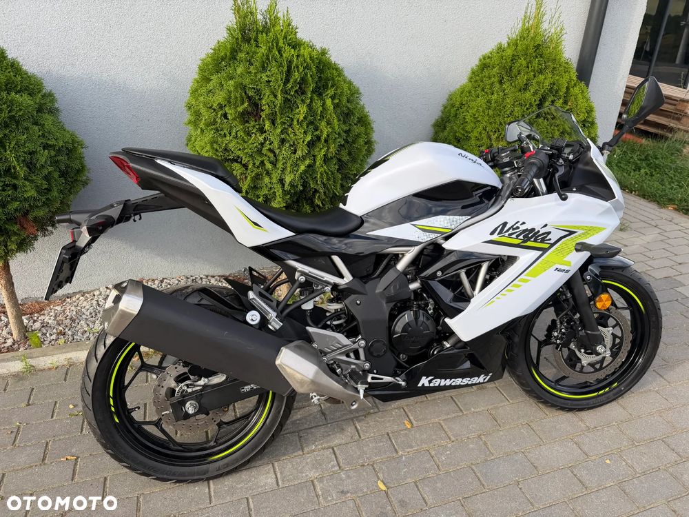 Kawasaki Ninja - 28
