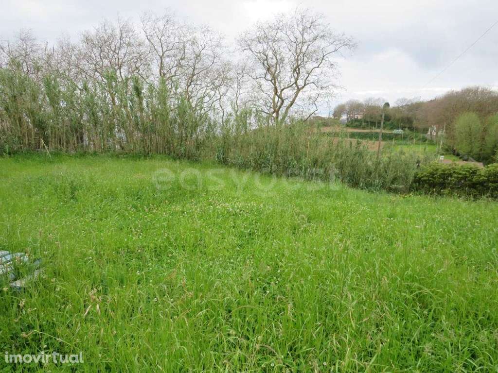 Terreno Urbanizavel na freguesia dos Remédios da Bretanha - Grande imagem: 5/21