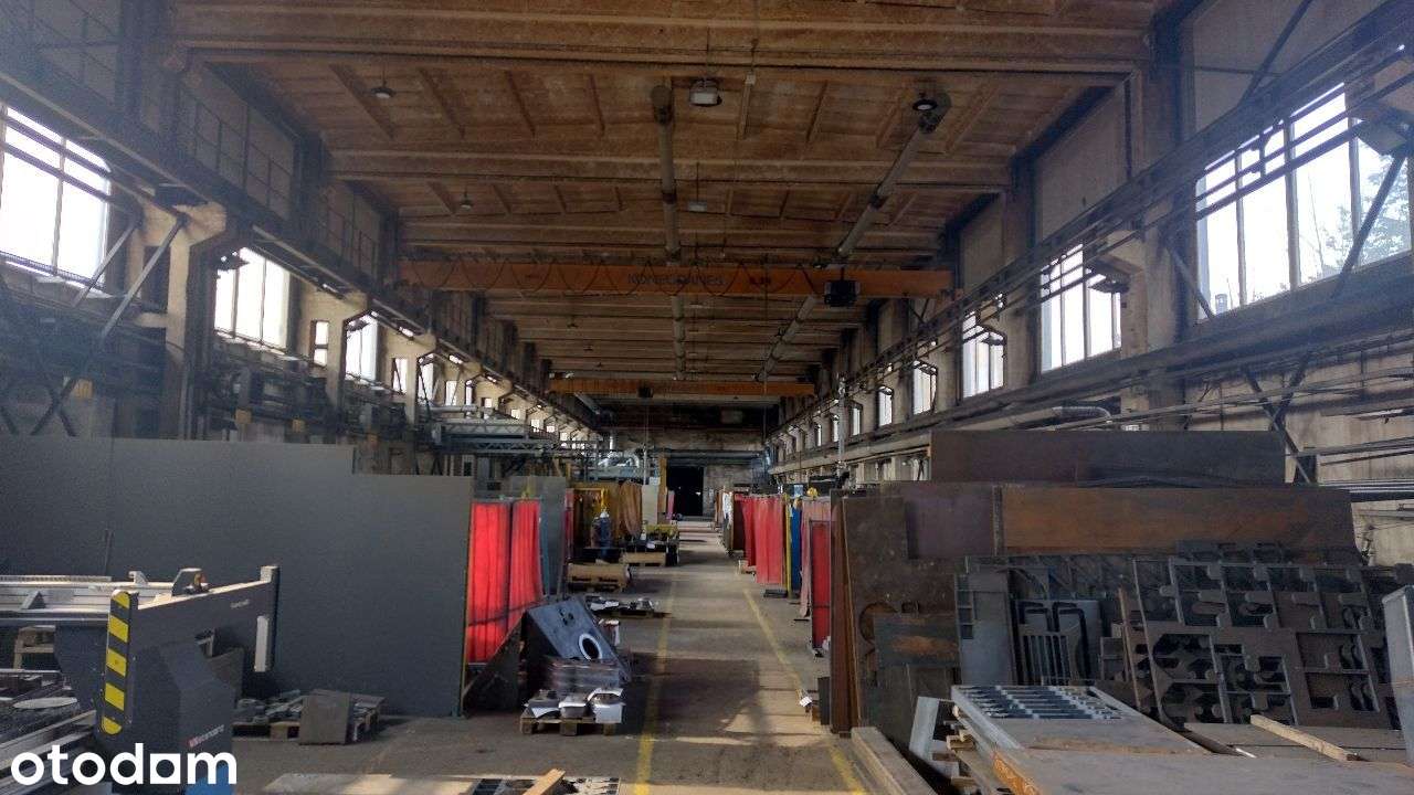Hale produkcyjne ogrzewane, grunt ok. 1,5ha - Pełny obrazek: 2/9