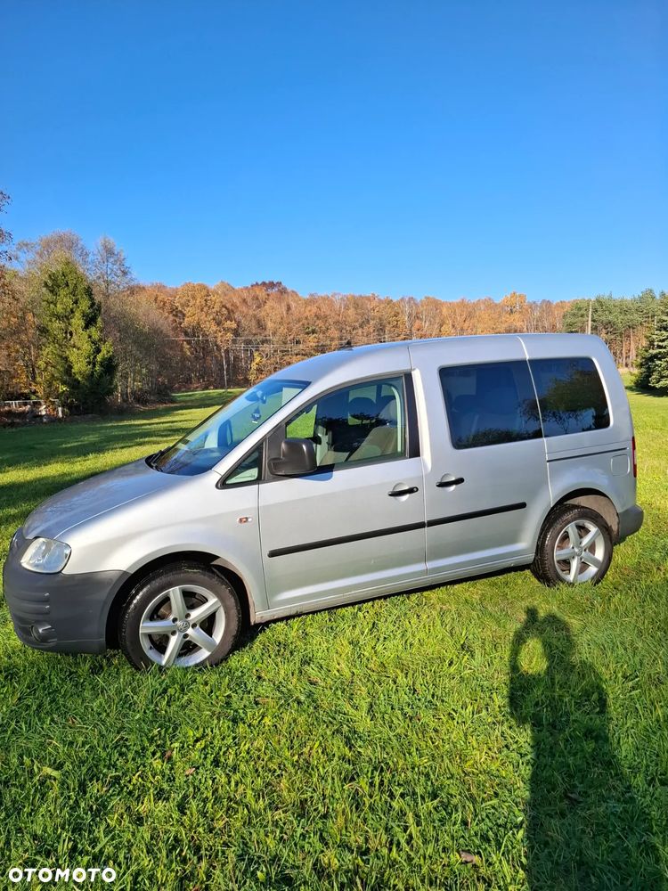 Volkswagen Caddy 1.9 TDI DPF Life Family (5-Si.) - 7