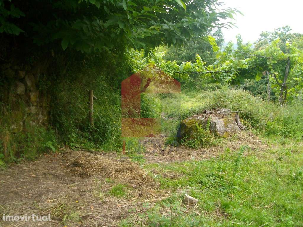 Terreno agrícola, Aboim da Nóbrega - Grande imagem: 4/12