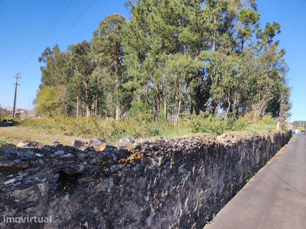 Terreno Urbano com 7500m2 em Souto, Santa Maria da Feira - Grande imagem: 4/5