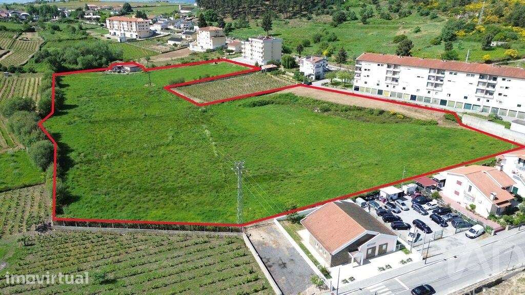 Terreno Agrícola em Alijó - Grande imagem: 4/12